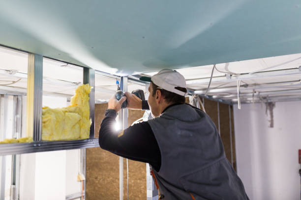 Best Soundproof Insulation Installation  in Hastings, MI