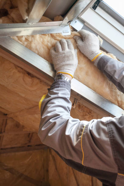 Best Energy-efficient Insulation  in Hastings, MI