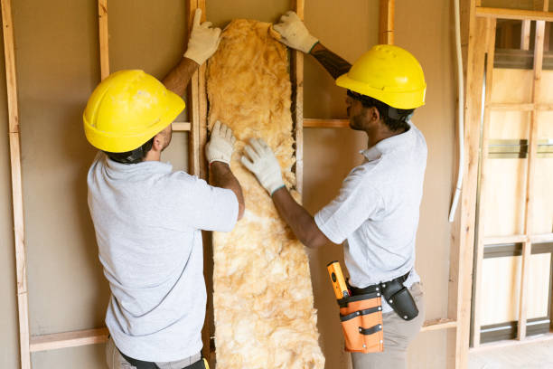 Best Fiberglass Insulation  in Hastings, MI