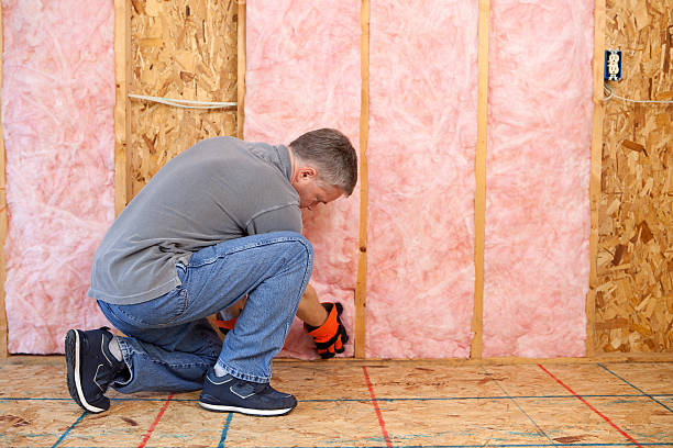 Best Spray Foam Insulation  in Hastings, MI