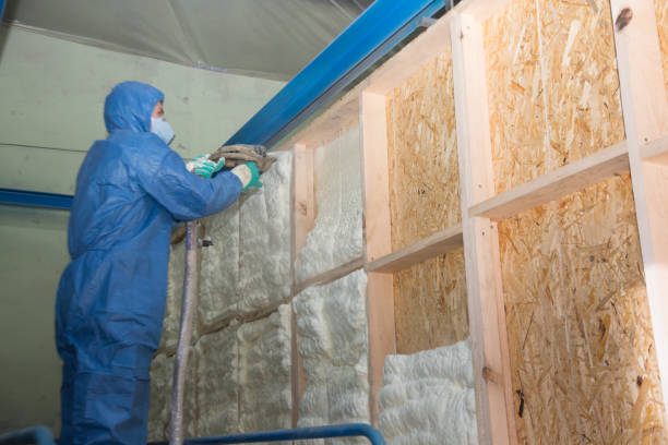Best Best Insulation Companies  in Hastings, MI