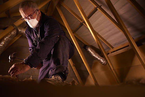 Best Commercial Insulation Contractor  in Hastings, MI